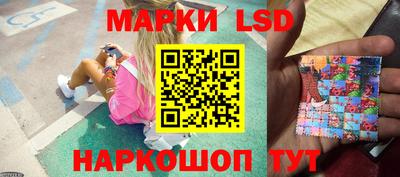 стафф Моздок