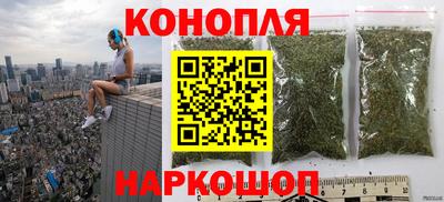 сатива Можга