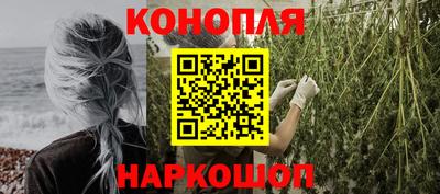 сатива Можга