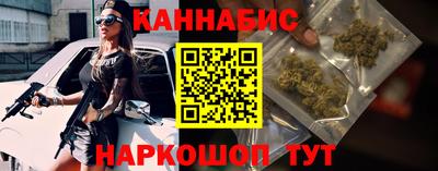 стафф Моздок