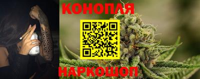 сатива Можга