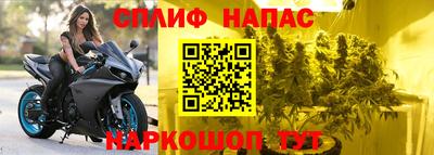 стафф Моздок